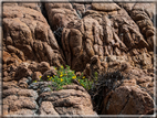 foto Spiagge a Santa Teresa di Gallura